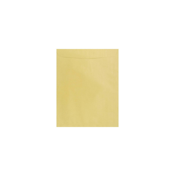 Sobres manila carta 22.5x29.5 cm x 10 unidades