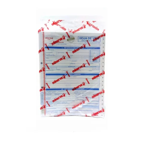 Hoja de Vida Minerva 1003 x 20 Unidades